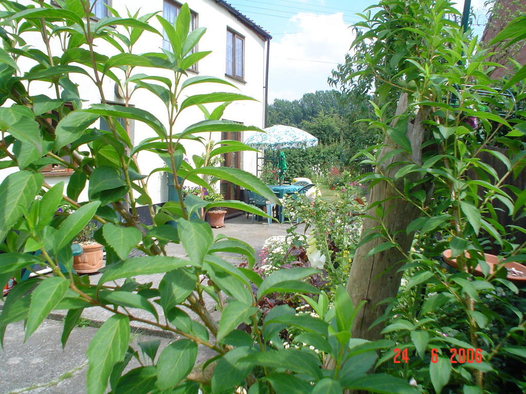 The Elms Bed & Breakfast East Harling Exterior photo