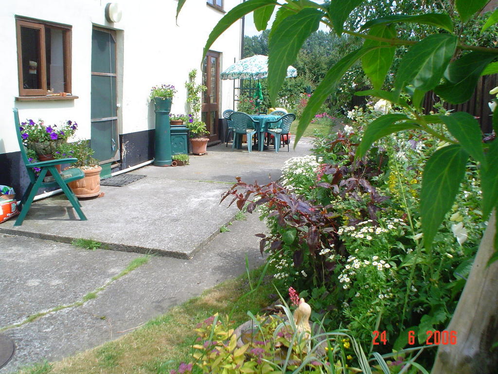 The Elms Bed & Breakfast East Harling Exterior photo